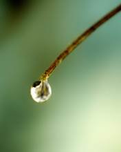 pic for water drop